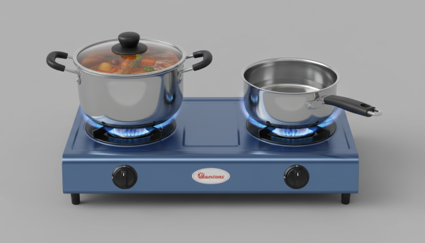 RG/501 Gas Cooker — Time-Saving Efficiency for Your Kitchen